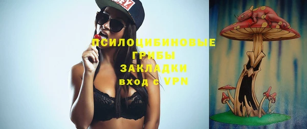 первитин Осинники