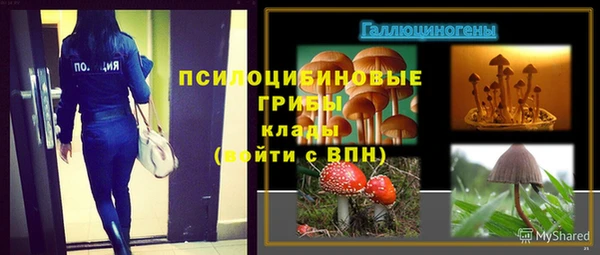 первитин Осинники