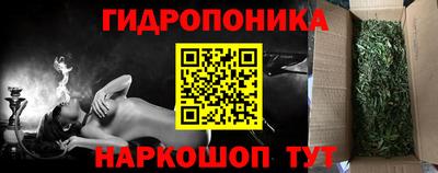 apvp Бийск