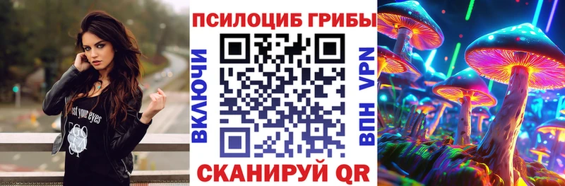 Галлюциногенные грибы Magic Shrooms  Дальнереченск 